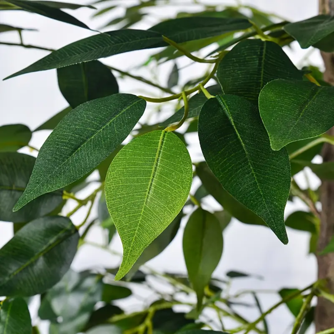 Umjetno drvo fikus - 160 cm