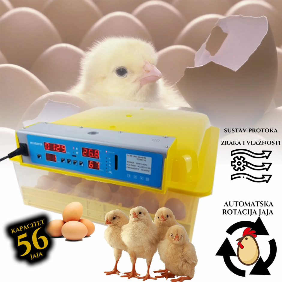 Inkubator za 56 jaja sa kontrolom temperature i vlage