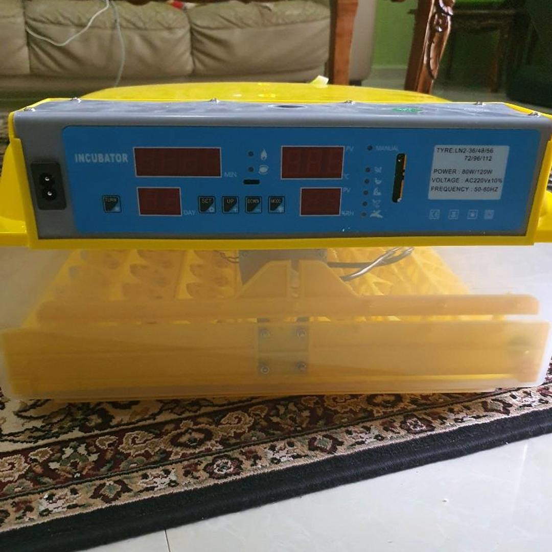 Inkubator za 56 jaja sa kontrolom temperature i vlage