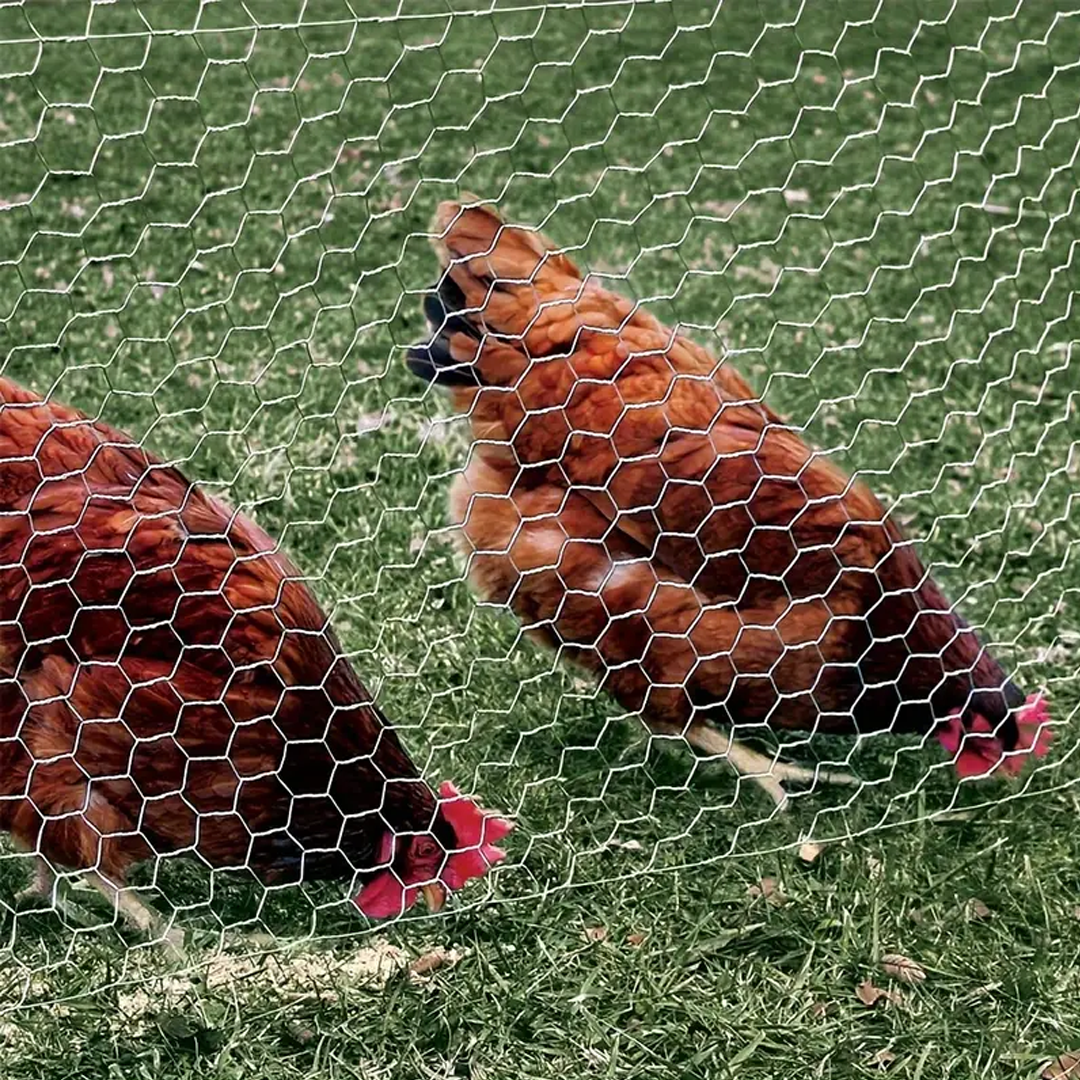 Fleksibilna mrežasta ograda za kokošinjac – 25 m duljine