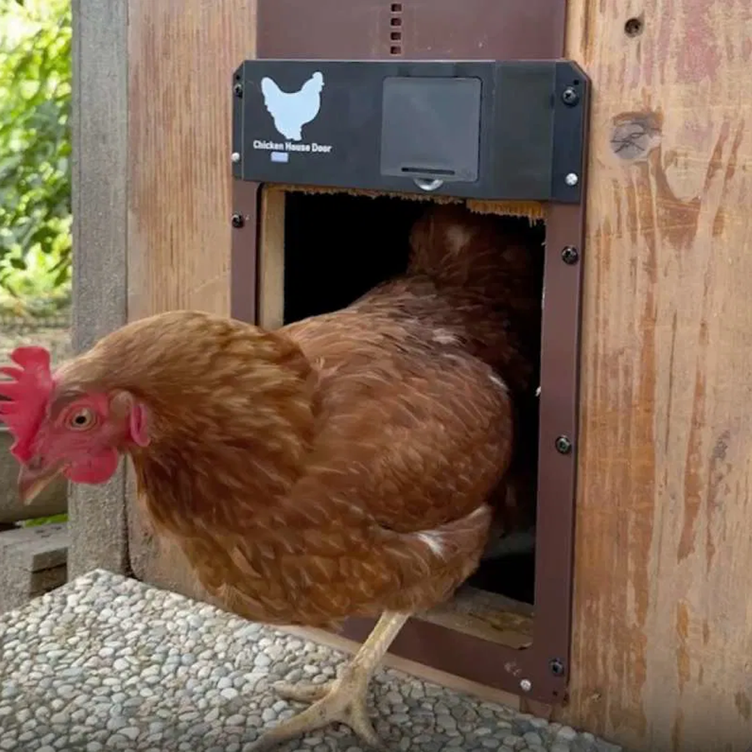 Automatska vrata za kokošinjac