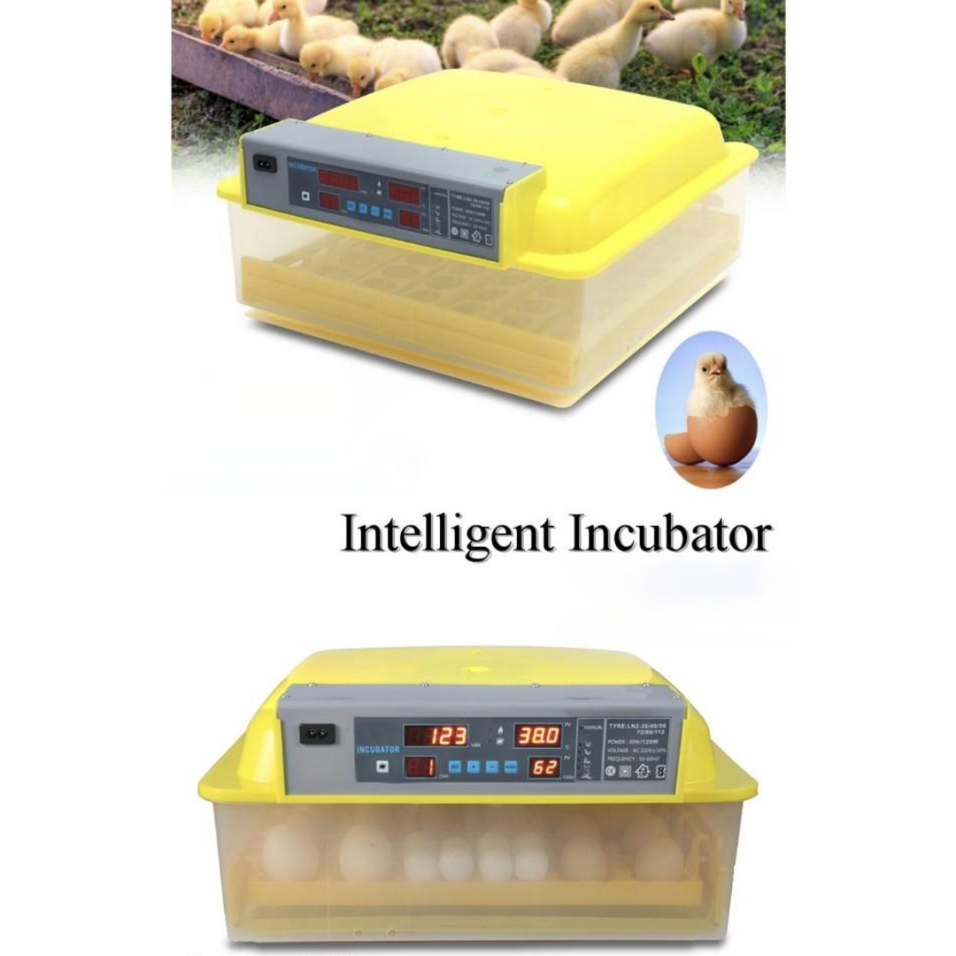 Inkubator za 56 jaja sa kontrolom temperature i vlage