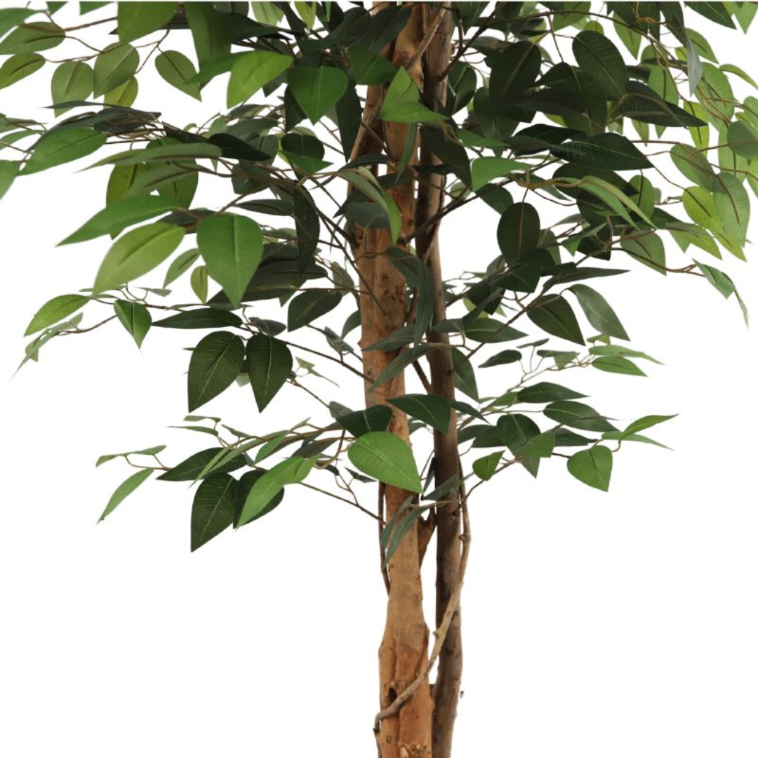 Umjetno drvo fikus - 160 cm
