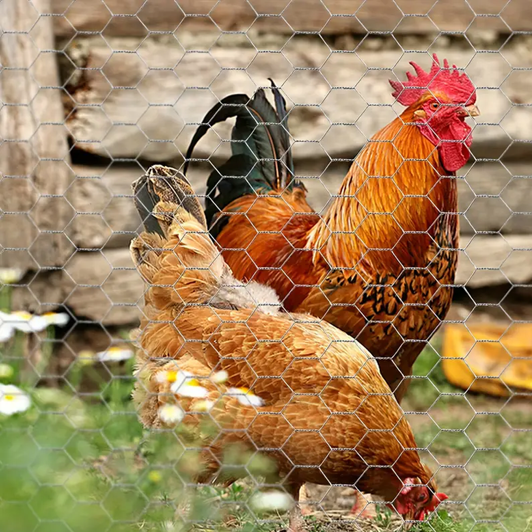 Fleksibilna mrežasta ograda za kokošinjac – 25 m duljine