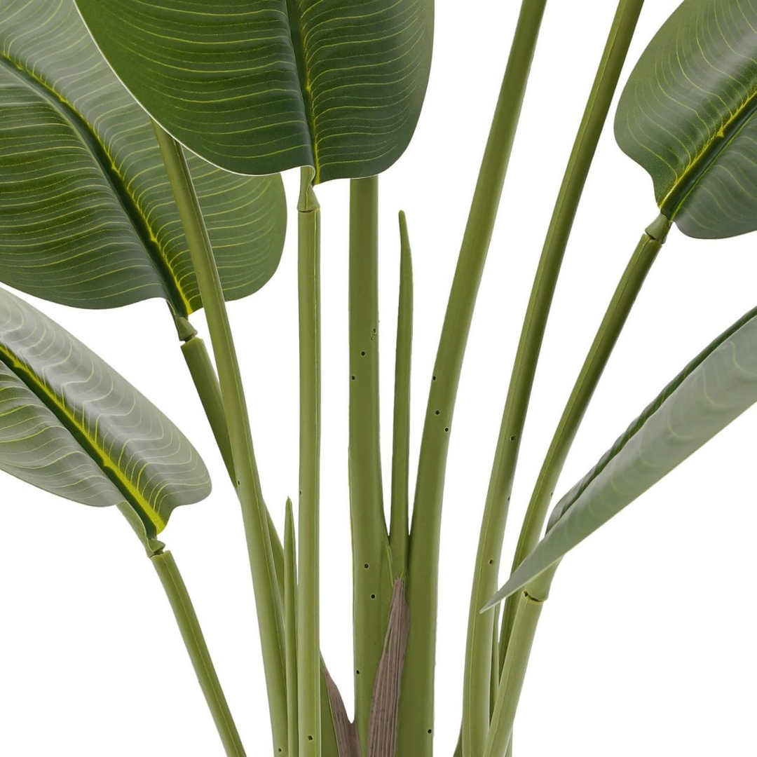 Umjetna biljka – Strelicija s velikim listovima, visina 110 cm