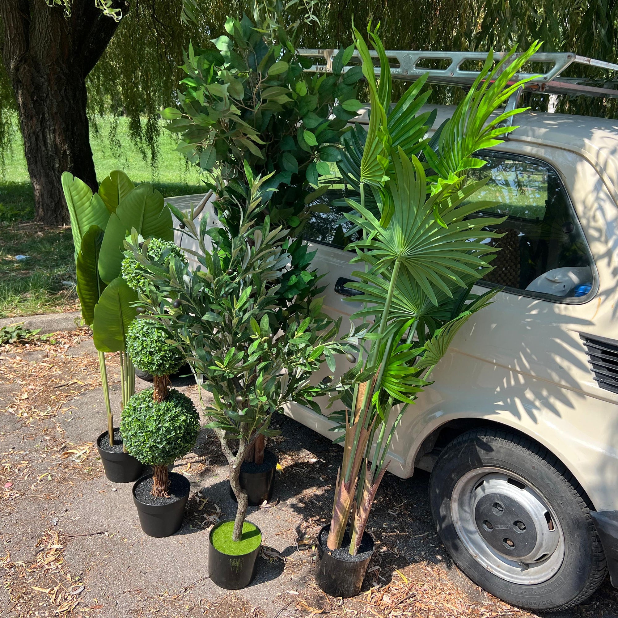 Umjetne biljke za svaki prostor – odaberite svoju vrstu